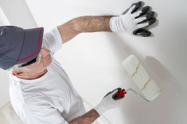 Best Mold Damage Restoration  in Palmetto, GA