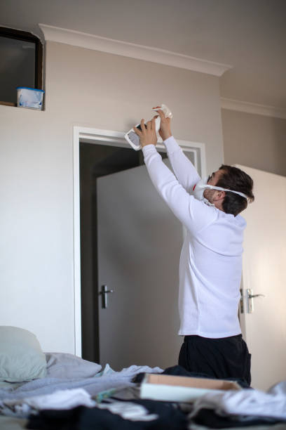 Palmetto, GA Mold Removal Company