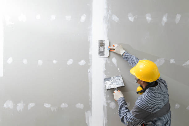 Best Mold Documentation for Insurance Claims  in Palmetto, GA