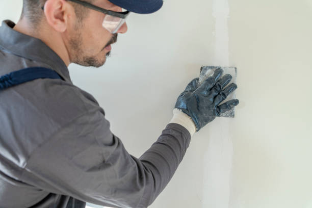 Best HVAC Mold Inspection and Cleaning  in Palmetto, GA