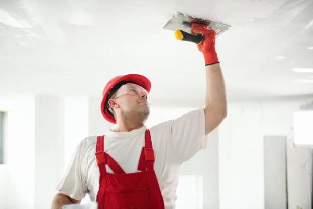 Best Black Mold Removal  in Palmetto, GA