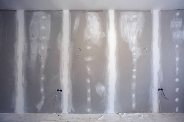 Best Post-Construction Mold Inspection  in Palmetto, GA